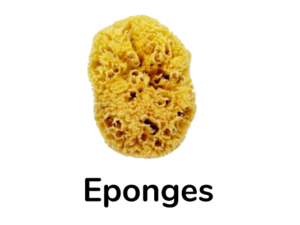 Eponge