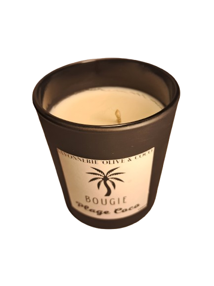 plage-removebg-preview