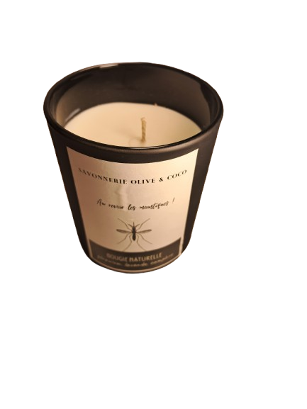 moustique-removebg-preview